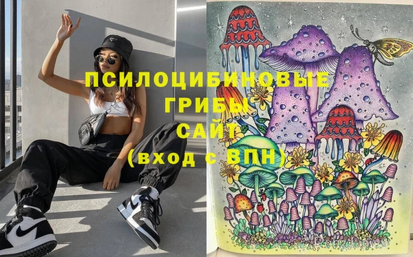 хмурый Вяземский