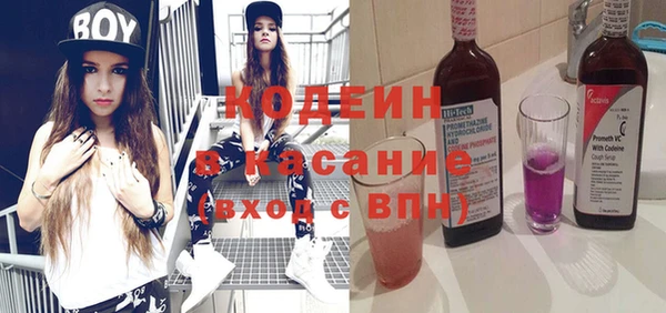 хмурый Вяземский