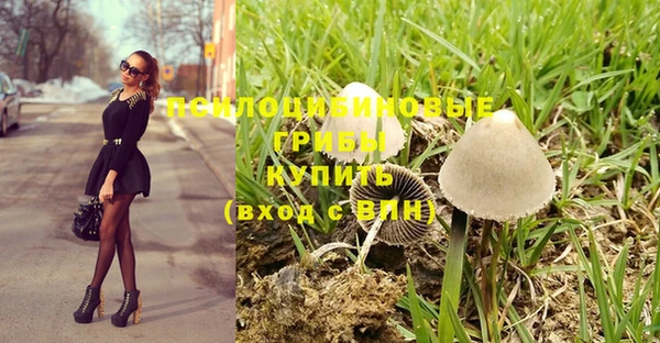 прущие крисы Вязники