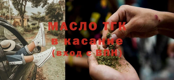 хмурый Вяземский