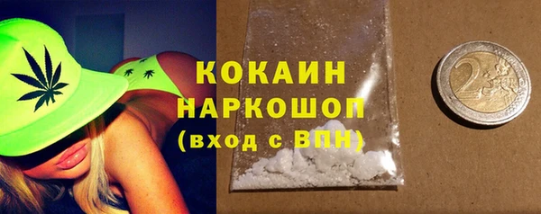 хмурый Вяземский