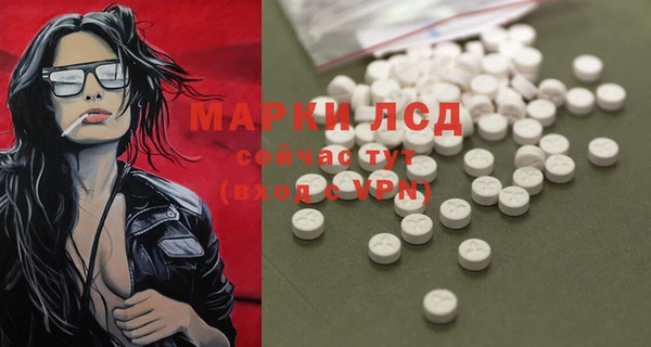 хмурый Вяземский