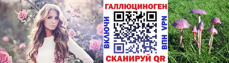 Галлюциногенные грибы GOLDEN TEACHER  закладки  ОМГ ОМГ ССЫЛКА  Павловская 